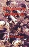 Mike Bingham - El Regimen de Las Malvinas