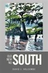 David J. Holcombe - Old South, New South, No South