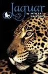 Duncan MacLaren - Jaguar