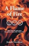 Joseph Goodman - A Flame of Fire