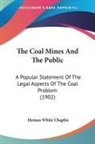Heman White Chaplin - The Coal Mines And The Public