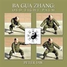Peter Jaw - Ba Gua Zhang