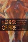 Jj Luck - Horse of Fire