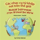 Emily Kobren - Musical Instruments from Around the World (Vietnamese-English)