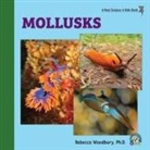 Rebecca Woodbury, Rebecca Woodbury Ph. D. - Mollusks