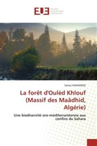 Samia HAMADENE - La forêt d'Oulèd Khlouf (Massif des Maâdhid, Algérie)
