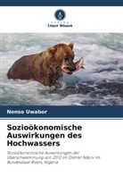 Nonso Uwabor - Sozioökonomische Auswirkungen des Hochwassers