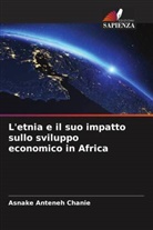 Asnake Anteneh Chanie - L'etnia e il suo impatto sullo sviluppo economico in Africa