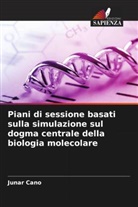 Junar Cano - Piani di sessione basati sulla simulazione sul dogma centrale della biologia molecolare
