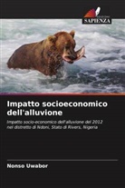 Nonso Uwabor - Impatto socioeconomico dell'alluvione