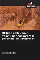 Ausmita Sarker - Utilizzo delle ceneri volanti per migliorare le proprietà del sottofondo