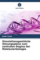 Junar Cano - Simulationsgestützte Sitzungspläne zum zentralen Dogma der Molekularbiologie