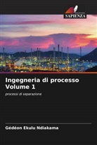 Gédéon Ekulu Ndiakama - Ingegneria di processo Volume 1
