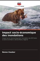 Nonso Uwabor - Impact socio-économique des inondations