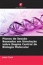Junar Cano - Planos de Sessão Baseados em Simulação sobre Dogma Central de Biologia Molecular