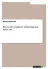 Biljana Chavkoska - Recent Developments in International Labor Law