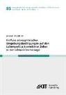 Jannik Wilhelm - Einfluss atmosphärischer Umgebungsbedingungen auf den Lebenszyklus konvektiver Zellen in der Echtzeit-Vorhersage