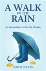 John Davis - A Walk in the Rain