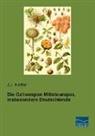 J J Kieffer, J. J. Kieffer, J.J. Kieffer - Die Gallwespen Mitteleuropas, insbesondere Deutschlands