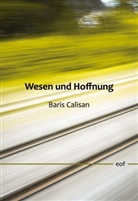 Baris Calisan - Wesen und Hoffnung