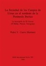 Pedro V. Castro Martinez - La Sociedad de los Campos de Urnas en el nordeste de la Peninsula Iberica