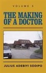 Julius Adebiyi Sodipo - The Making of a Doctor