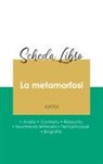 Frantz Kafka, Franz Kafka - Scheda libro La metamorfosi di Kafka (analisi letteraria di riferimento e riassunto completo)