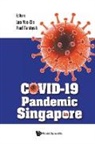 Yee Sin Leo &amp; Paul Tambyah, Yee Sin Leo, Paul Anatharajah Tambyah, Paul Tambyah, Paul Anatharajah Tambyah, Yee Sin Leo... - Covid-19 Pandemic In Singapore