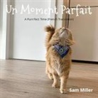 Sam Miller - Un Moment Parfait