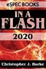 Christopher J. Burke - In a Flash 2020