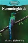 Victoria Blakemore - Hummingbirds