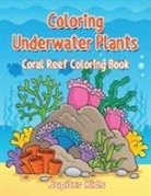 Jupiter Kids - Coloring Underwater Plants