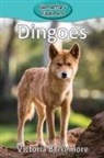 Victoria Blakemore - Dingoes