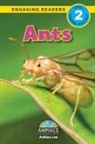 Ashley Lee, Alexis Roumanis - Ants