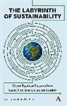 Daniel C. Esty, Daniel C Esty, Daniel C. Esty, Esty Daniel C. - Labyrinth of Sustainability
