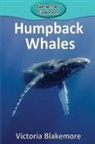 Victoria Blakemore - Humpback Whales