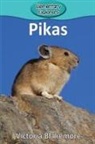Victoria Blakemore - Pikas