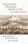 Abe Mezrich - Between the Mountain and the Land is the Lesson