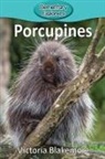 Victoria Blakemore - Porcupines
