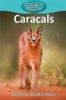 Victoria Blakemore - Caracals