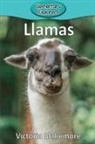 Victoria Blakemore - Llamas