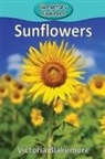 Victoria Blakemore - Sunflowers