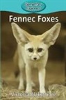 Victoria Blakemore - Fennec Foxes