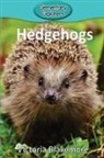 Victoria Blakemore - Hedgehogs