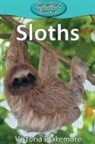 Victoria Blakemore - Sloths
