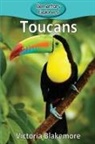 Victoria Blakemore - Toucans
