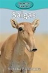 Victoria Blakemore - Saigas