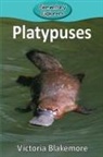 Victoria Blakemore - Platypuses