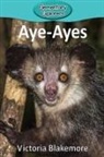 Victoria Blakemore - Aye-Ayes