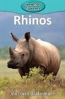 Victoria Blakemore - Rhinos